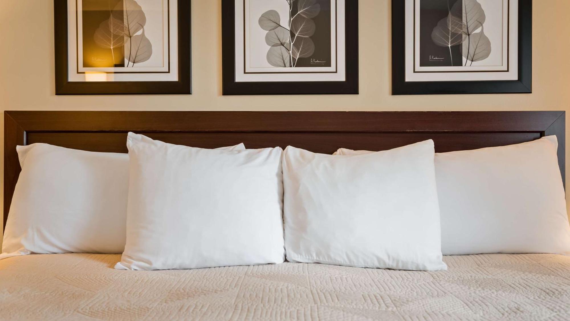Double Room with Two Double Beds - Non-Smoking