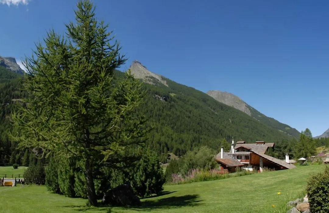 Eco Wellness Hotel Notre Maison-1