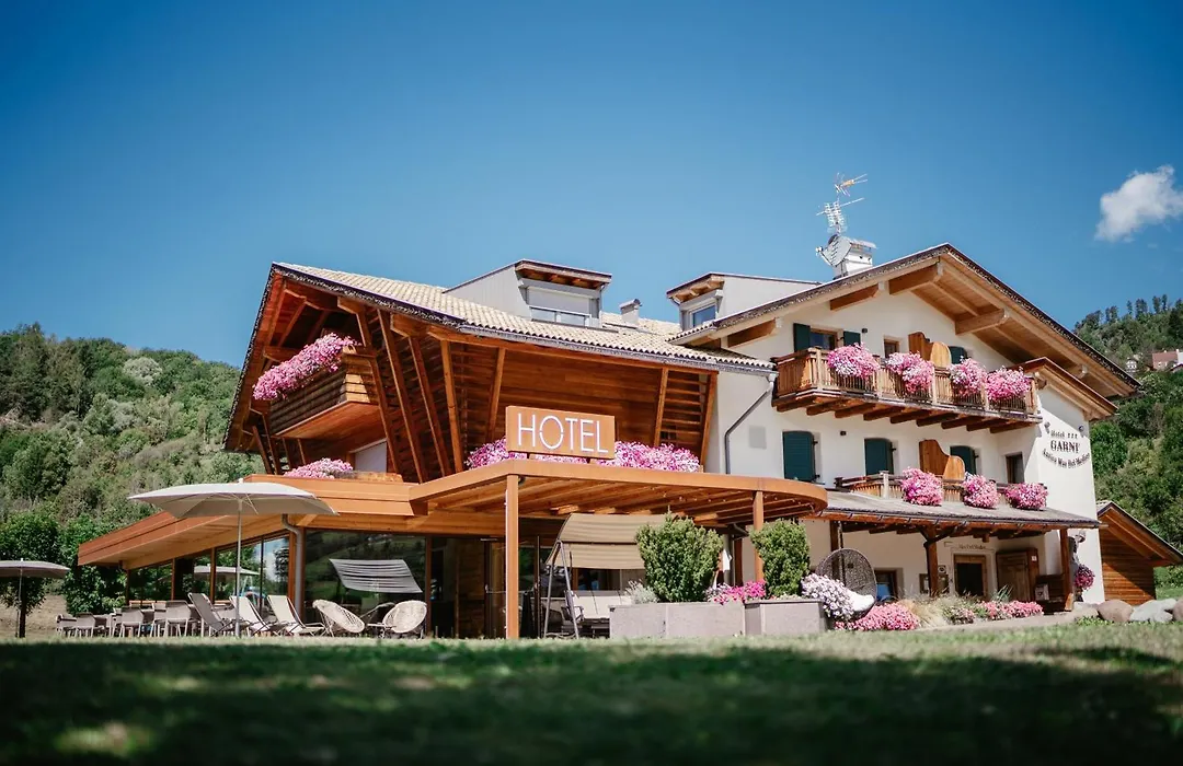 Albergo Garnì Antico Mas del Medico-1