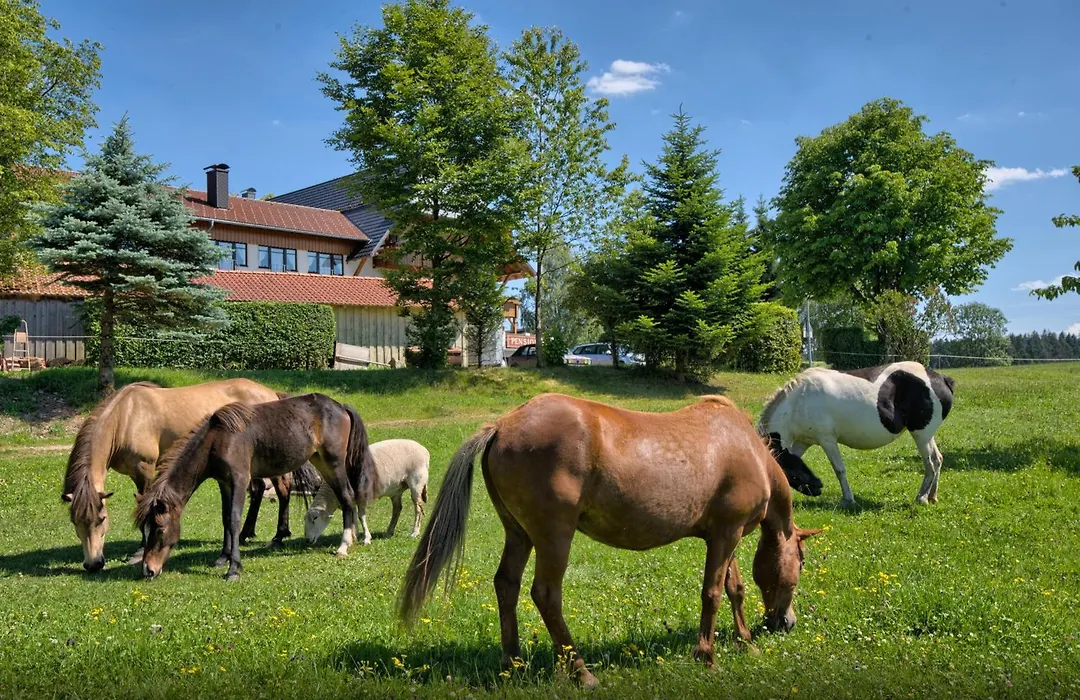 Landgasthof Zum Schwanen-1
