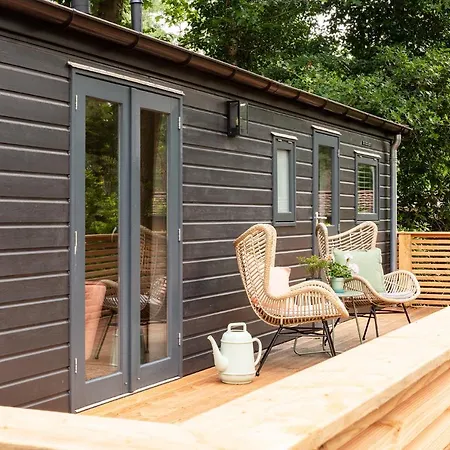 Luxe hippe Lodge in de bossen van Oisterwijk-3