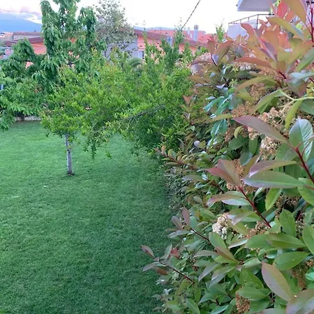 B&B The Garden-3