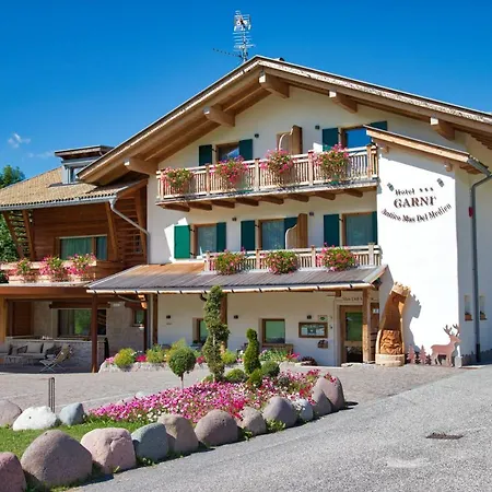 Albergo Garnì Antico Mas del Medico-2