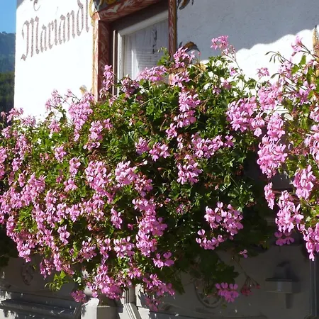 Hotel Mariandl-3