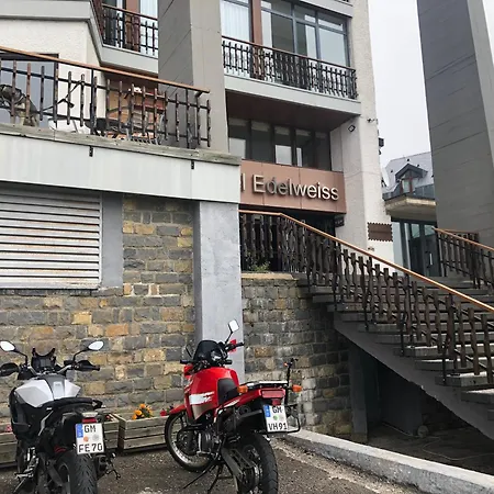 Hotel Edelweiss Candanchú-2