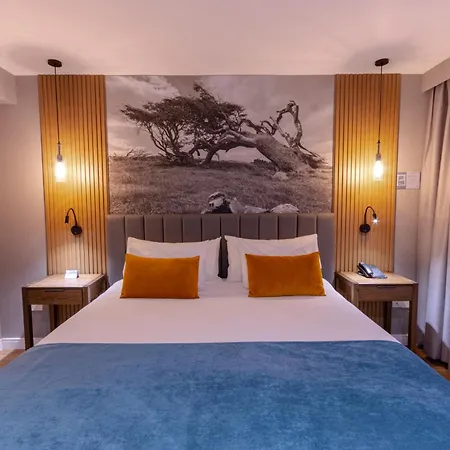 Alto Andino Hotel-2