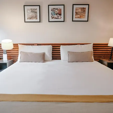 Hostal Del Bosque-3