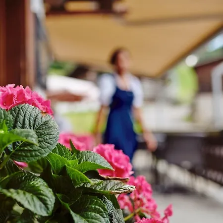 Hotel Alphorn-3