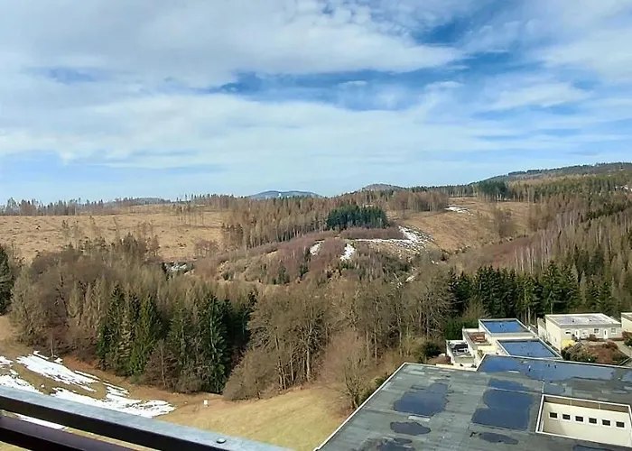 Ferienvermietung: Panoramic Apartments Hohegeiß
