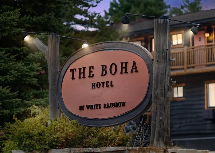 Boha