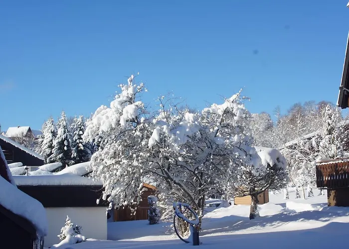 Hotel nahe College: Landhotel Garni Schweizerhaus