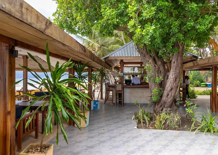 Dog friendly hotels Blue Marlin Beach