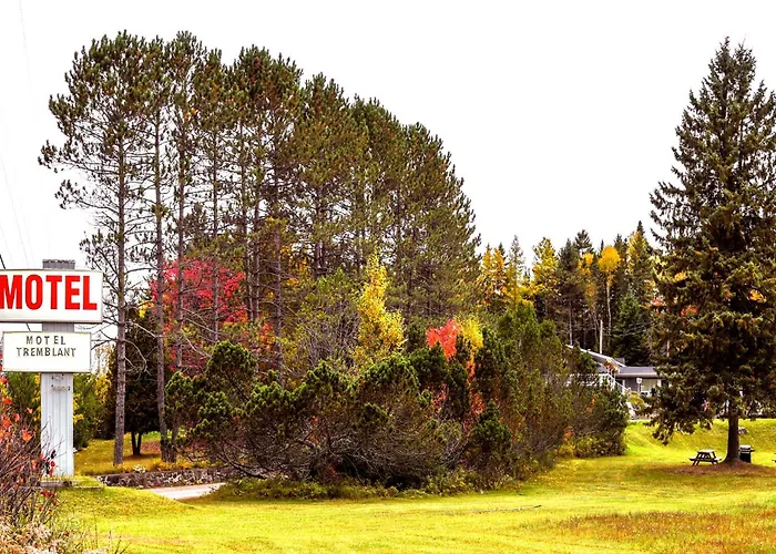 Pet Friendly hotel: Motel Tremblant