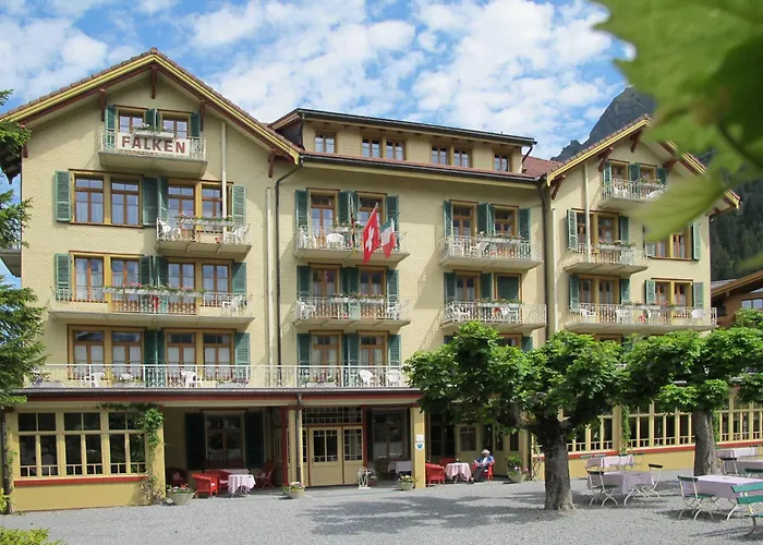 3 star hotel: Historic Hotel Falken