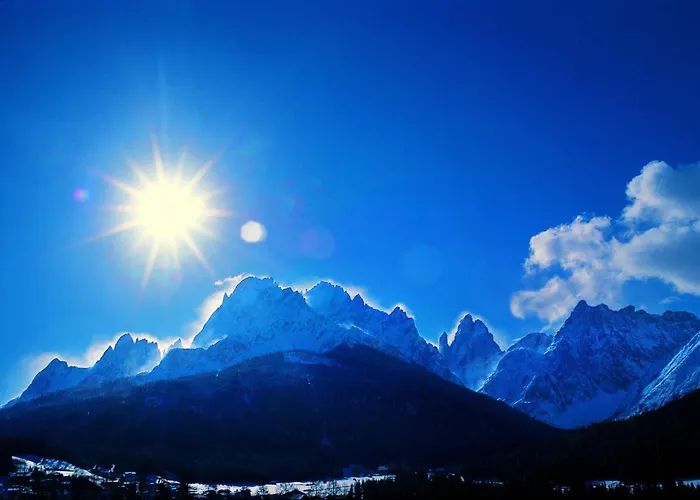 Hotel adatto agli animali: Hotel Falken