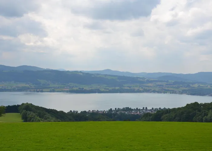 Schöberingerhof