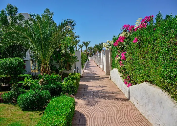 Albergo economico: Desert View Sharm Hotel