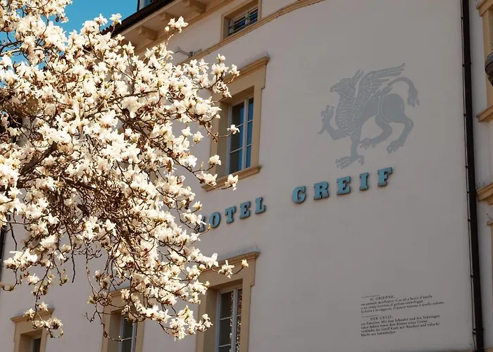 4-Sterne-Hotel: Hotel Greif, A Member Of Design Hotels