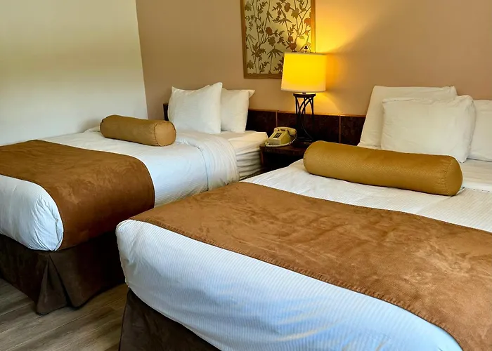 Cheap hotels Swiss Village Inn