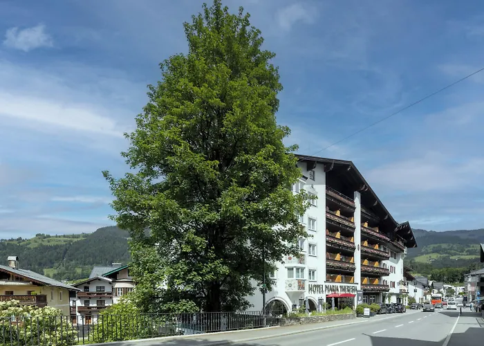 Haustierfreundliches Hotel: Q! Hotel Maria Theresia