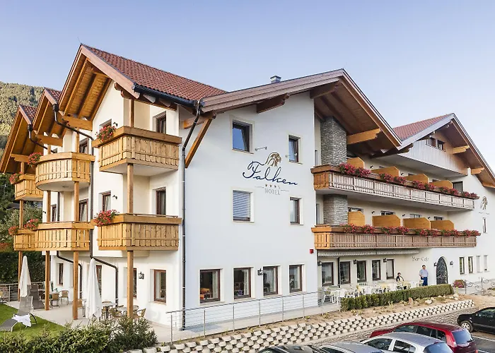 Hotel adatto agli animali: Hotel Falken