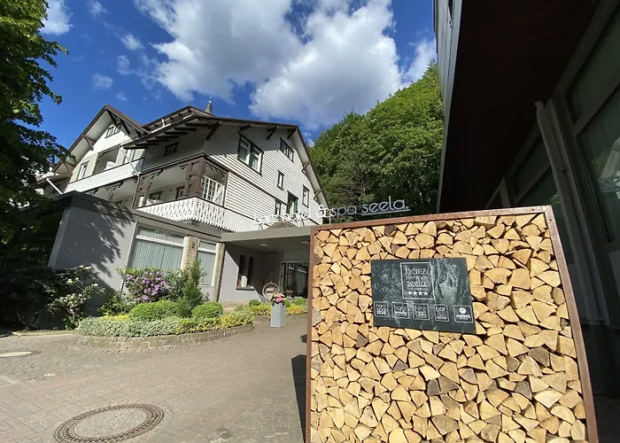 Harz Hotel&Spa Seela