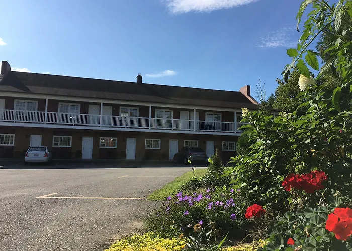 Pet Friendly hotel: Motel Le Sabre