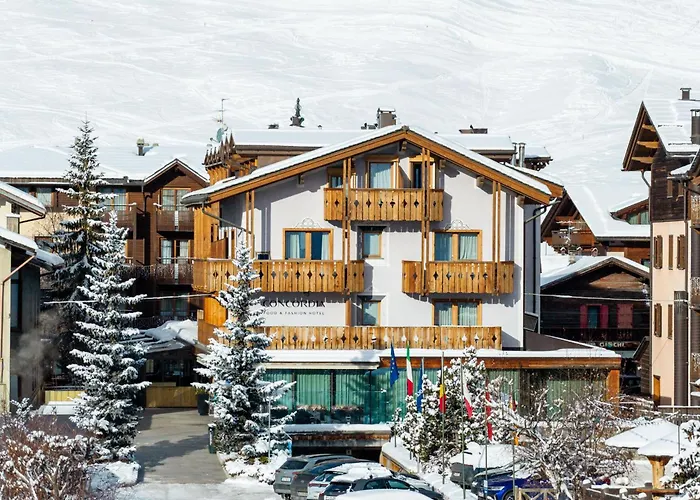 Hotel met zwembad: Hotel Concordia