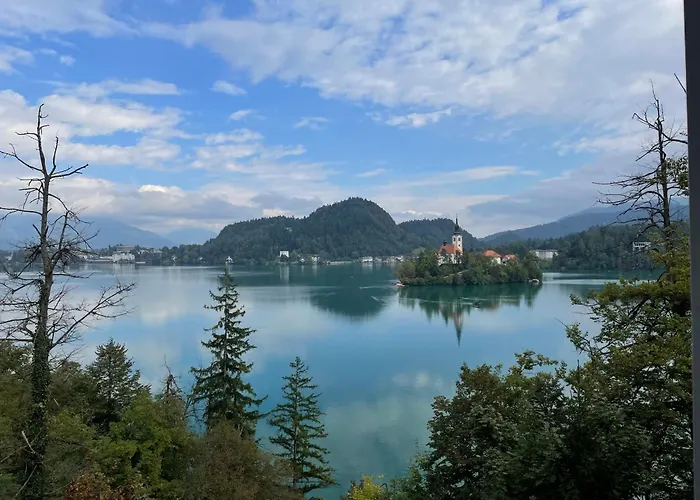 Sovica