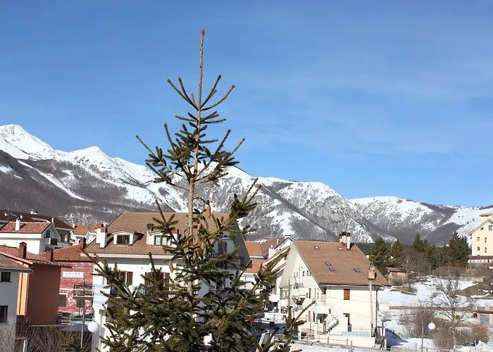 Hotel adatto agli animali: Hotel Cenzo