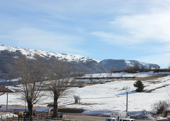 Hotel adatto agli animali: Hotel Cenzo