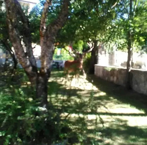 Casa vacanza: Appartamenti De Sanctis