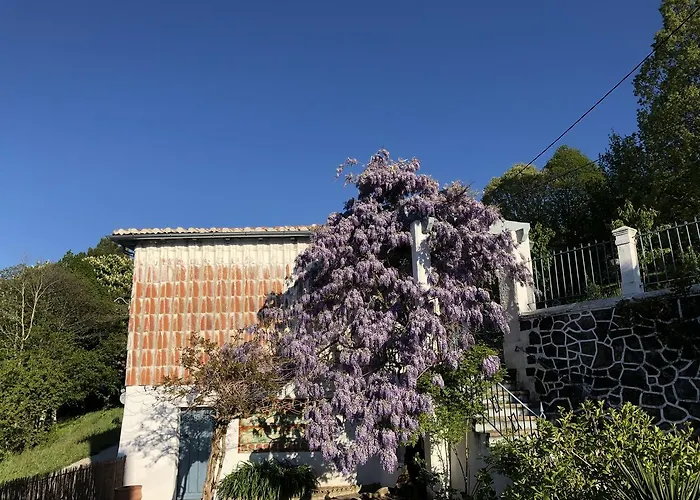 Alquiler de vacaciones: La Casita Del Castañar