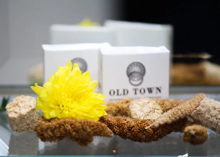 Hotel cerca del aeropuerto: Old Town Hotel