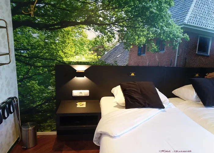 Het Wapen Van Drenthe