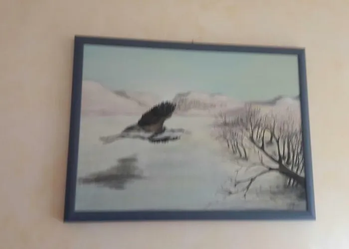 Affittacamere L'Airone