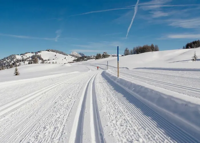 Albergo economico: Villa Rier